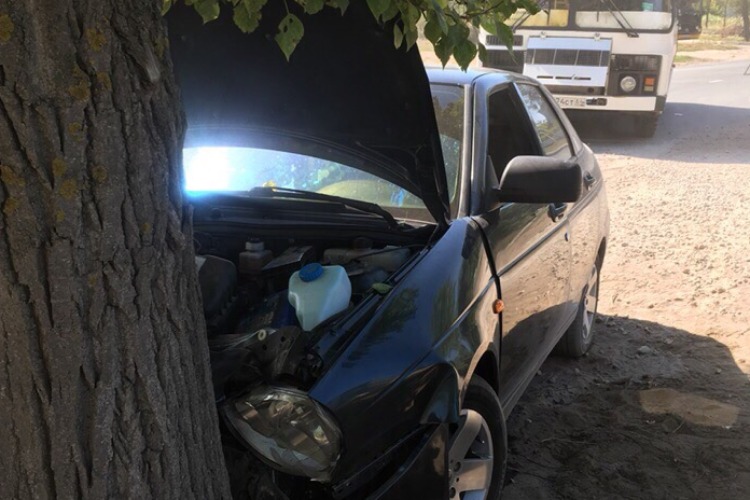 При обгоне автобуса врезался в дерево. Сводка ГИБДД Балакова