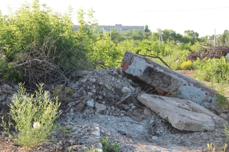 Многодетные семьи требуют у властей убрать свалки на участках