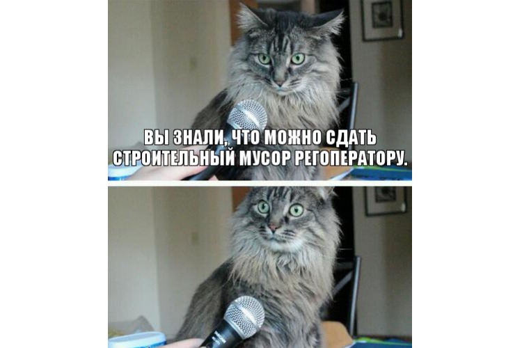 Огромный шаг для всего мусорящего человечества. Впервые в истории “Суть“ сдала мусор по всем законам и правилам