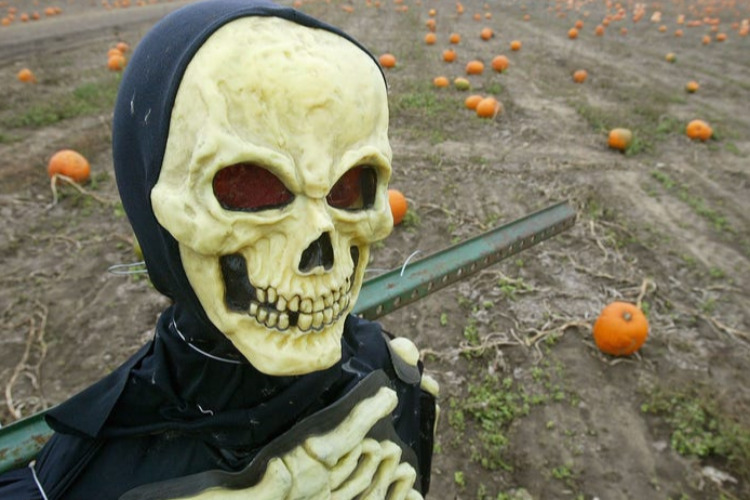 Все, что Вы еще не знали о Halloween