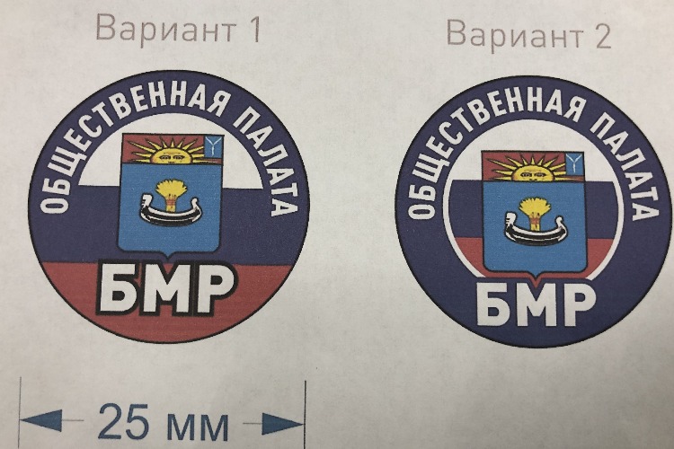 Какой значок выбрать? Член ОПы предложил альтернативу эскизу художника