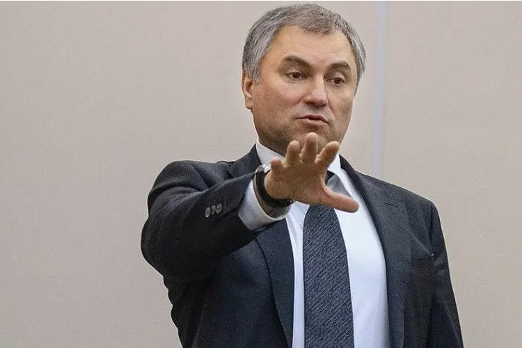 Жестокость или недоразумение? Видео издевательств над лошадью в Саратове дошло до Володина