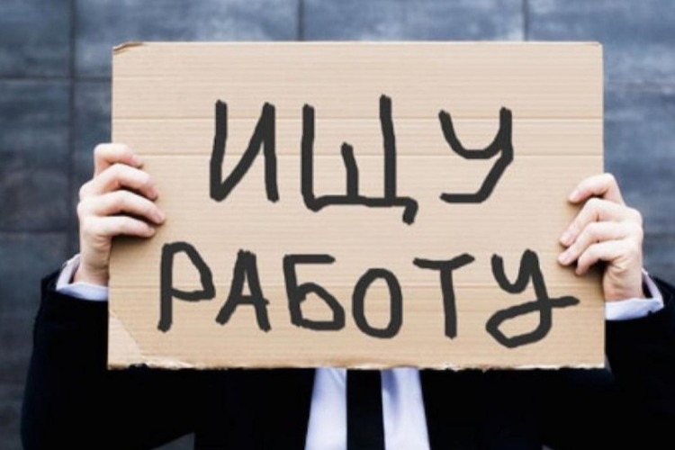 В Балаковском районе насчитали 557 безработных