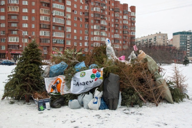 Новогодний мусор клянутся убирать своевременно