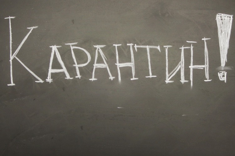 В Балакове 7 классов по-прежнему остаются на карантине
