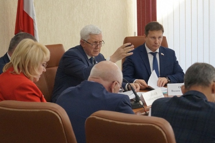 Зачем тратиться на строительство приюта? Депутат облдумы предложил вывозить саратовских бездомных собак в Балаково