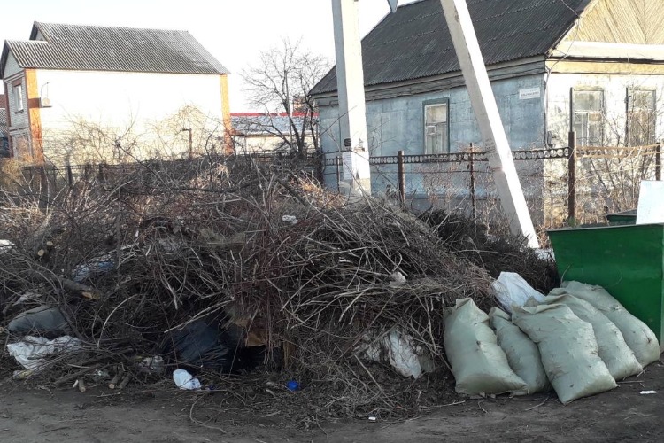 В Сазанлее расцвели первые подснежники