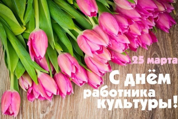 Александр Соловьев поздравил работников культуры с профессиональным праздником