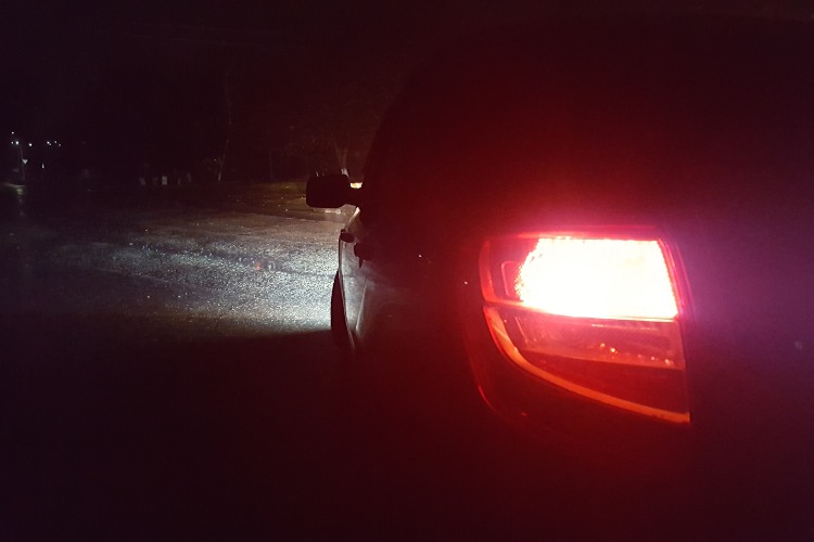 Водитель на LADA Granta сбил собаку. Сводка ГИБДД Балакова