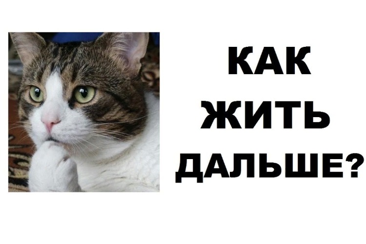 Совершенно официально. Все, что вы хотели спросить у власти о режиме жизни