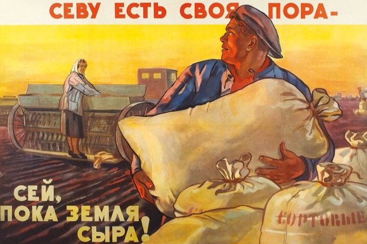 Неотложные дачные дела в конце апреля