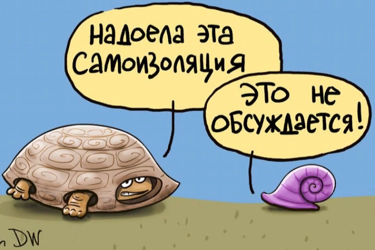 За коммунальной субсидией из дома выходить не надо