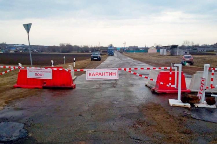 В Новополеводино пришла большая дезинфекция