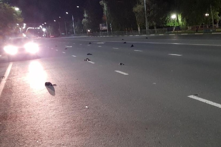 Власти выясняют причины птицепада в Балакове
