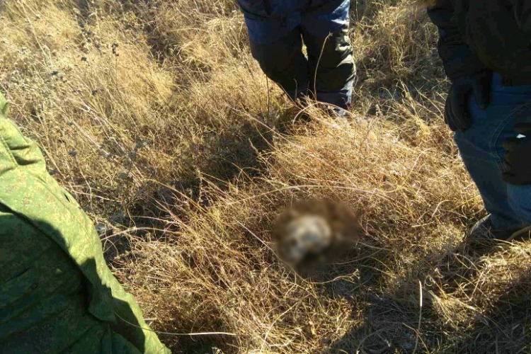Под Балаковом сельчанин нашел кости человека в поле. Неподалеку найдена женская одежда