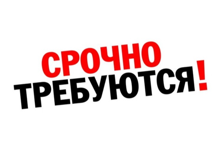 Предлагаем работу с официальным трудоустройством