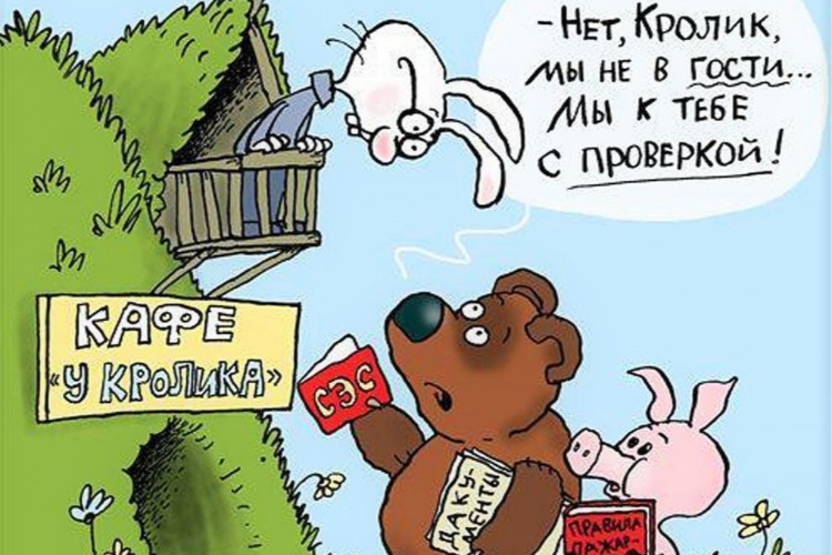 Малый бизнес оставят в покое с проверками еще на год