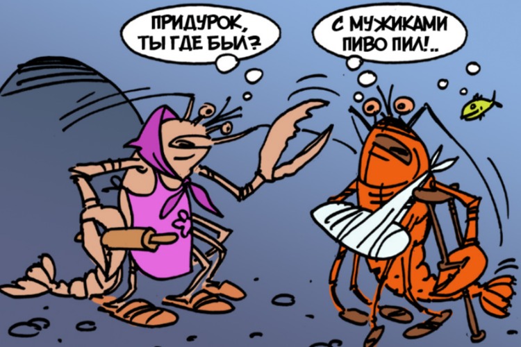 Лов раков категорически запрещен с сегодняшнего дня. Мы вполне серьезно!