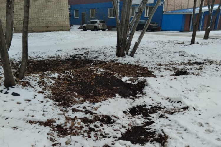Благородные “мушкетеры“ БалАвтоДора вывезли свой мусор от соседей