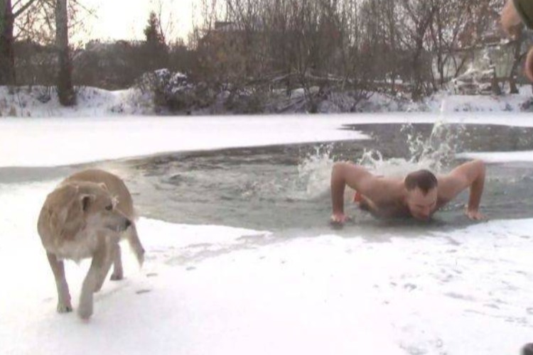 Журналист бросился в прорубь, чтобы спасти собаку. Видео