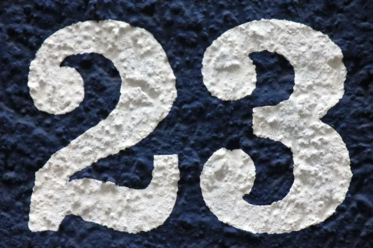 Сводка заразы: 23 февраля в Балакове 23 больных