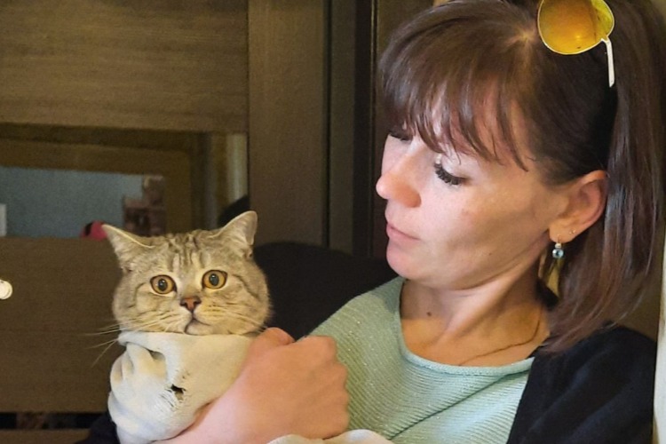 Неравнодушные балаковцы сняли с дерева кота. Он сидел там четверо суток