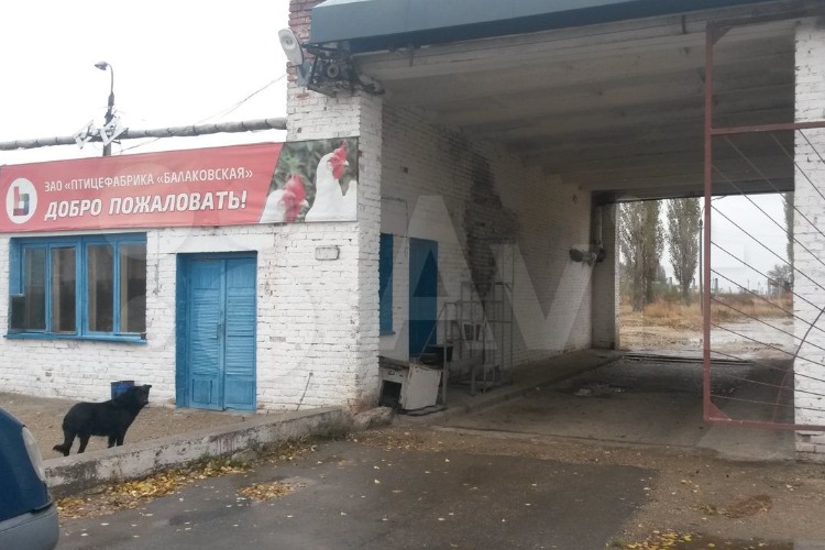 До новой встречи, “Балакурочка“? Местная птицефабрика обрела нового владельца