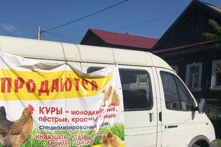 Соседство с душком. Что бывает, когда за стеной разводят домашнюю птицу