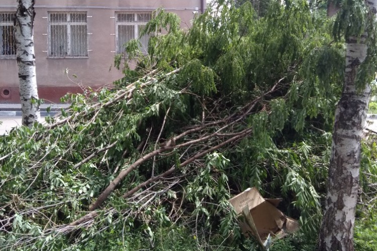 Надежда Познякова обнаружила свалку между судом и ЗАГСом