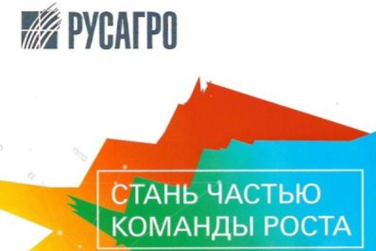 Гимназия № 1 Балакова заслужила грант размером в 555 тысяч рублей