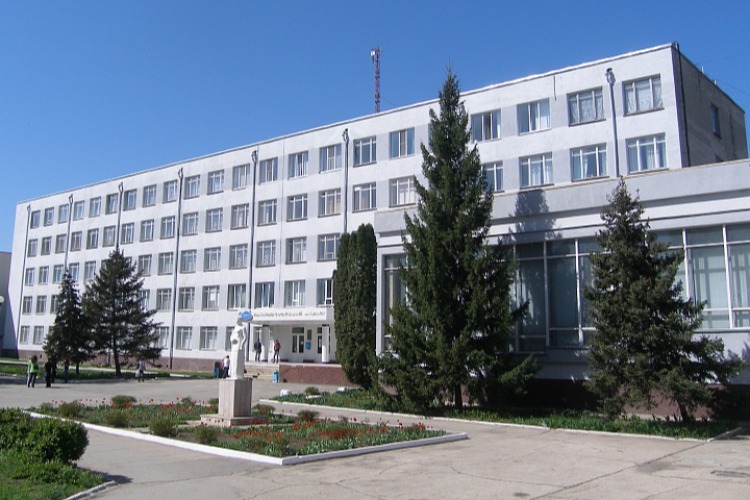 Выбирая профессию, выбираю работу: Профессиональный выбор глазами студента