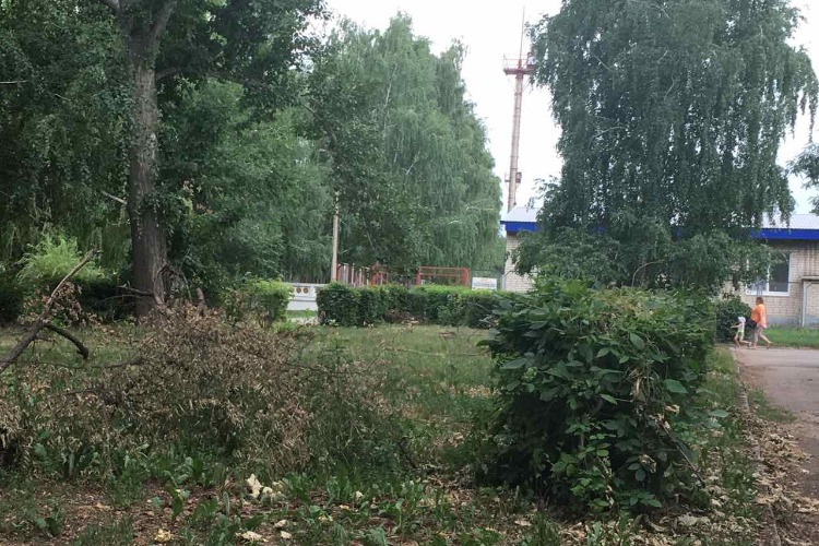 Многим на работе указывали, за какой парк голосовать. И это, увы, не наш “Олимпик“...