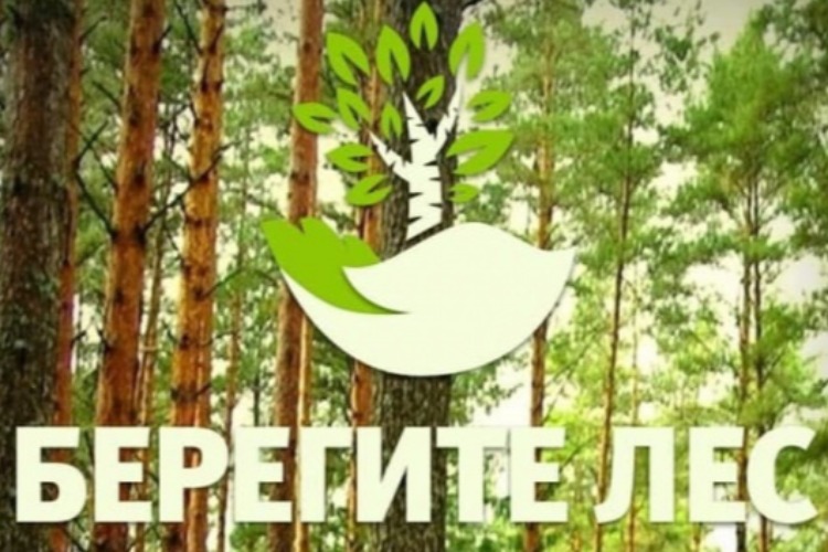 Пока лесных пожаров в регионе нет, но под Балаковом зафиксировано две термоточки