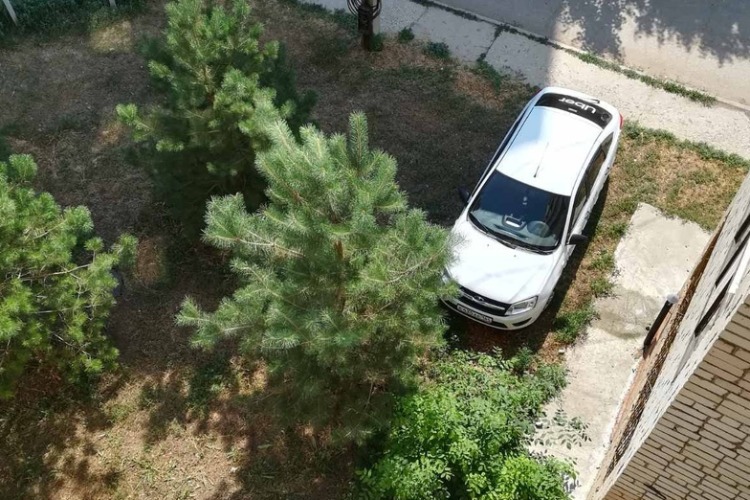 Паркуюсь, где хочу! Lada Granta на Степной встала прямо под сосной