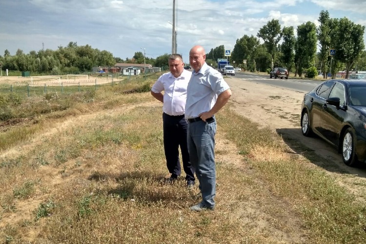 Во дела! Сомнительная вырубка на берегу Судоходного канала - гражданский порыв неизвестного благотворителя