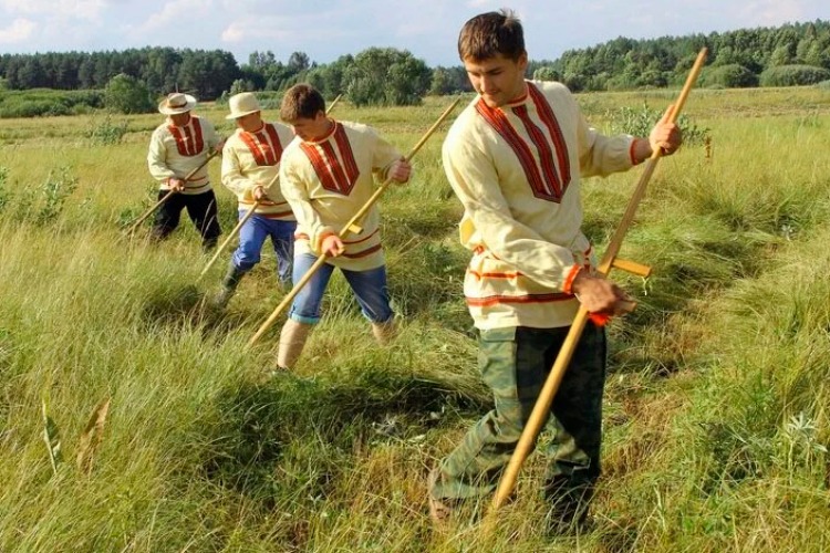 Первого покоса просто не было? Гордепы недовольны озеленением Балакова