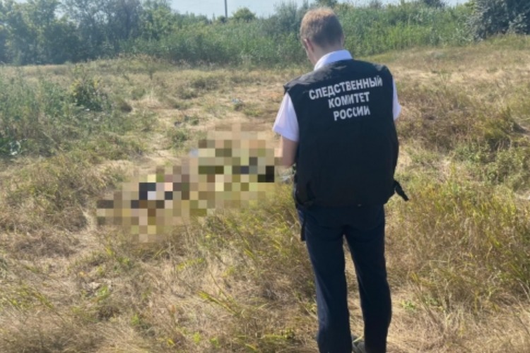 В поле под Балаковом пастух нашел останки человека