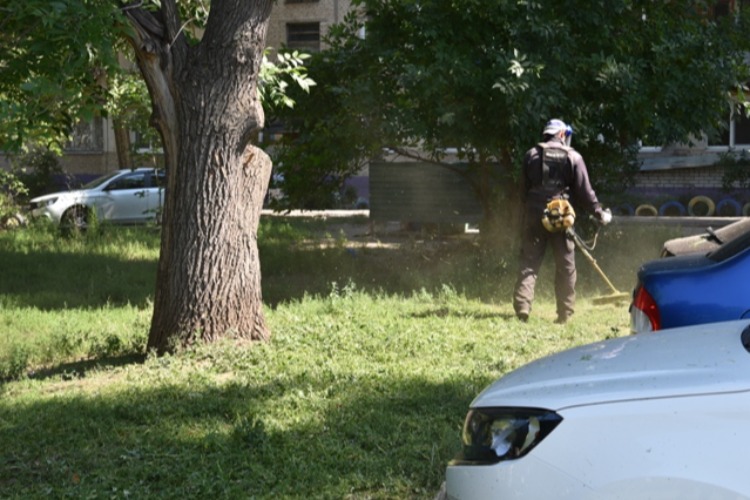 Кто стал самым слабым звеном в деле покоса травы