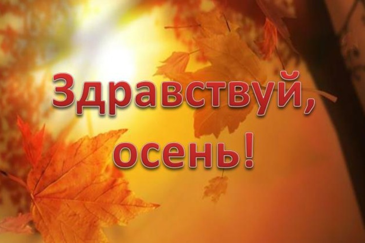 Погода в Балаково в День знаний