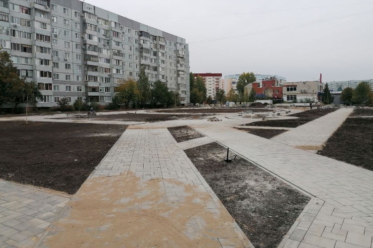 И на камнях растут деревья. Жутковатый пустырь превращается в зону реального отдыха
