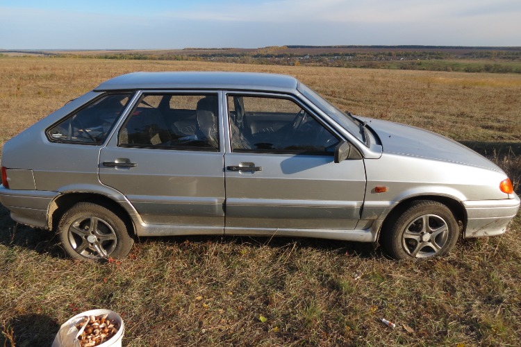 Грибник в разгар сбора чуть было не лишился своего автомобиля
