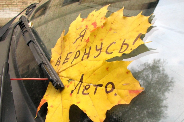 Погода в Балаково: завтра до + 17!