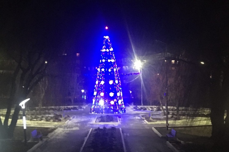 В Балаково зажгли первую новогоднюю елку. На подходе - зверушки, израненные детками