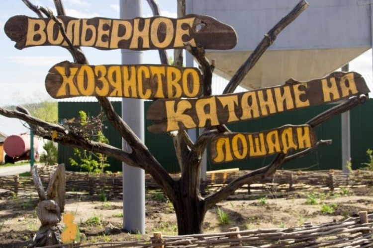 Ревизоры оштрафовали Хвалынский зоопарк за показ животных - хорошо хоть не сожгли