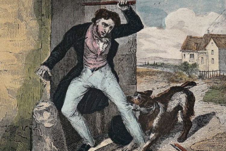 Среди тех, кто рискует умереть от бешенства, антиваксеров почти нет