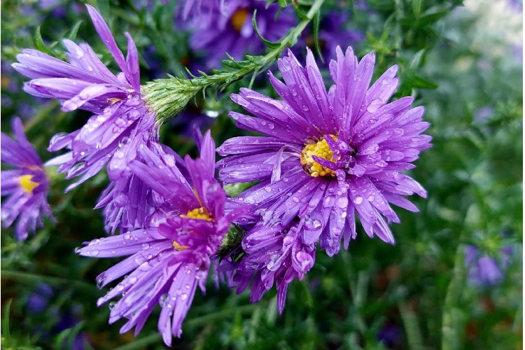 Погода в Балаково 24 ноября. Ноябрьским утром воздух чист; морозный ...