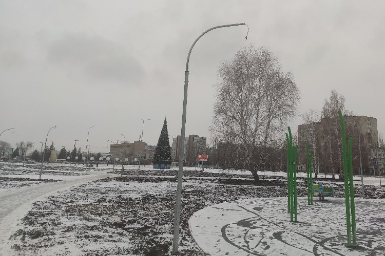 В как бы парке Балакова продолжат с елей и туй
