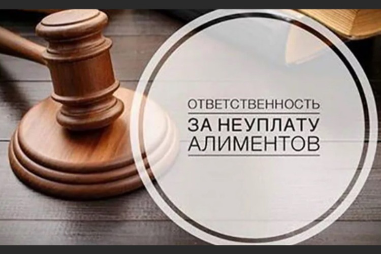 За хроническую неуплату алиментов горе-мамаша посидит за решеткой