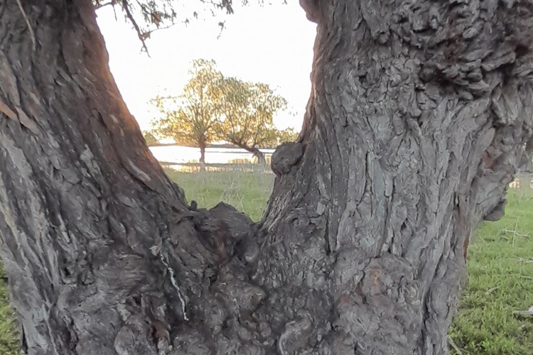 Погода в Балаково 29 апреля. Звезда дрожит в огнях заката, любви ...