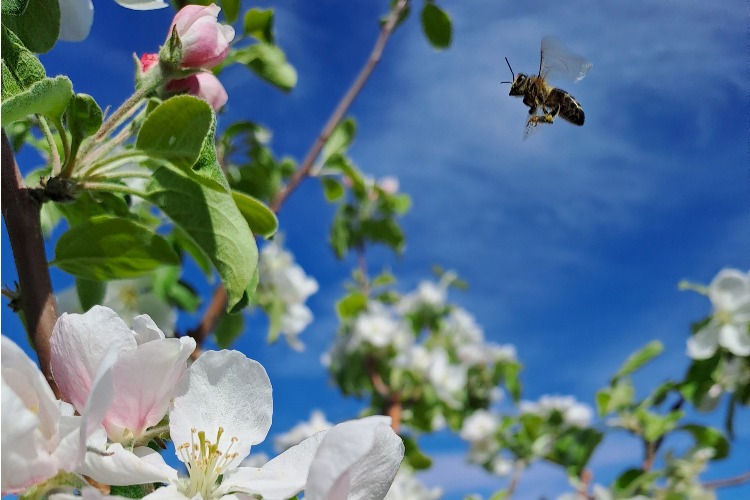 Погода в Балаково 21 мая. В крови, в слезах мы шли вперед, и победило ...